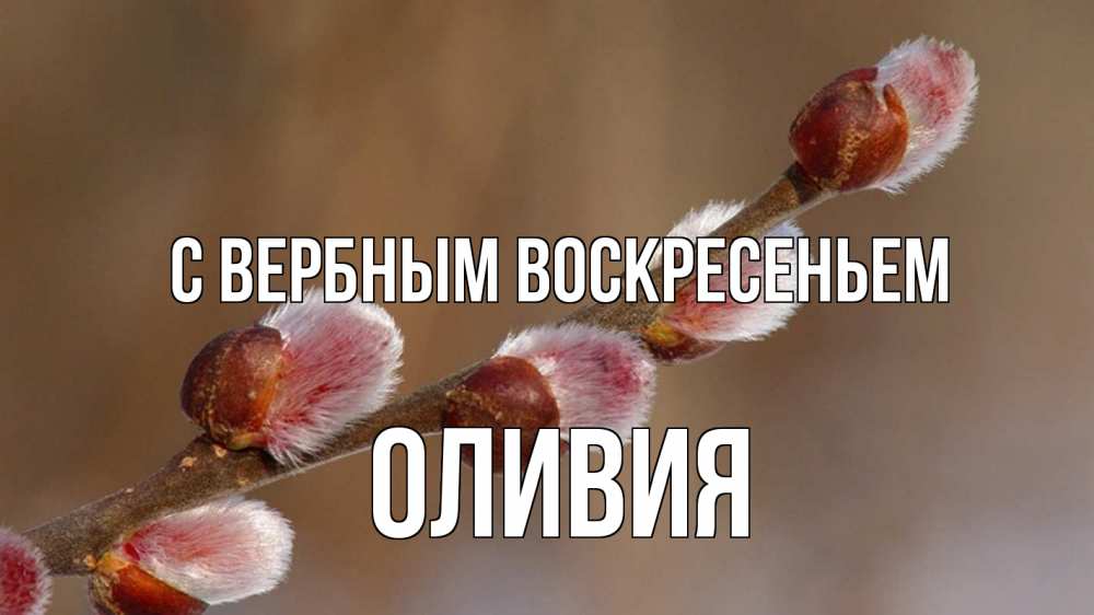 Открытка на каждый день с именем, Оливия С вербным воскресеньем верба Прикольная открытка с пожеланием онлайн скачать бесплатно 