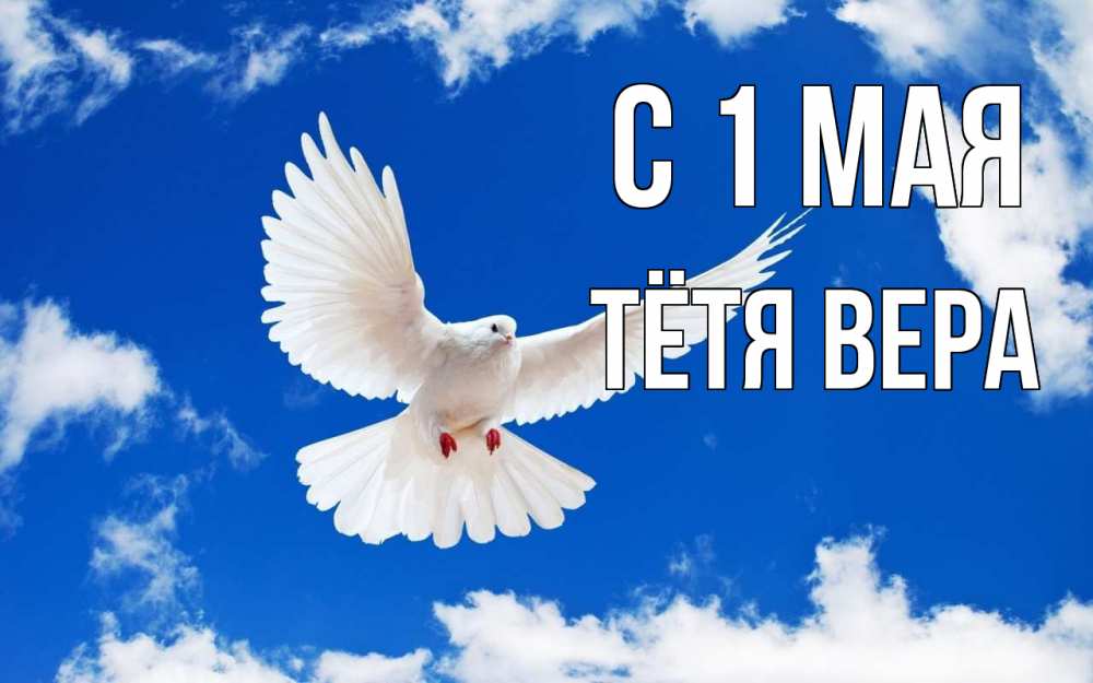 Открытка на каждый день с именем, Тётя-Вера С 1 мая С 1 мая 1 Прикольная открытка с пожеланием онлайн скачать бесплатно 