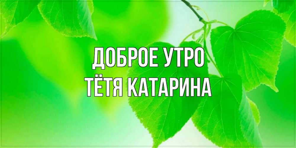 Открытка на каждый день с именем, Тётя-Катарина Доброе утро доброе утро с березовыми листьями Прикольная открытка с пожеланием онлайн скачать бесплатно 