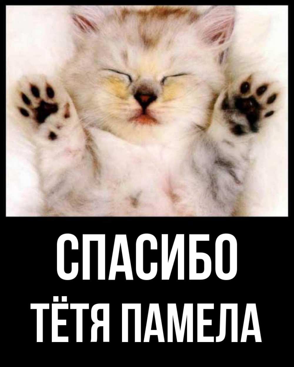 Открытка на каждый день с именем, Тётя-Памела Спасибо маленький котенок Прикольная открытка с пожеланием онлайн скачать бесплатно 