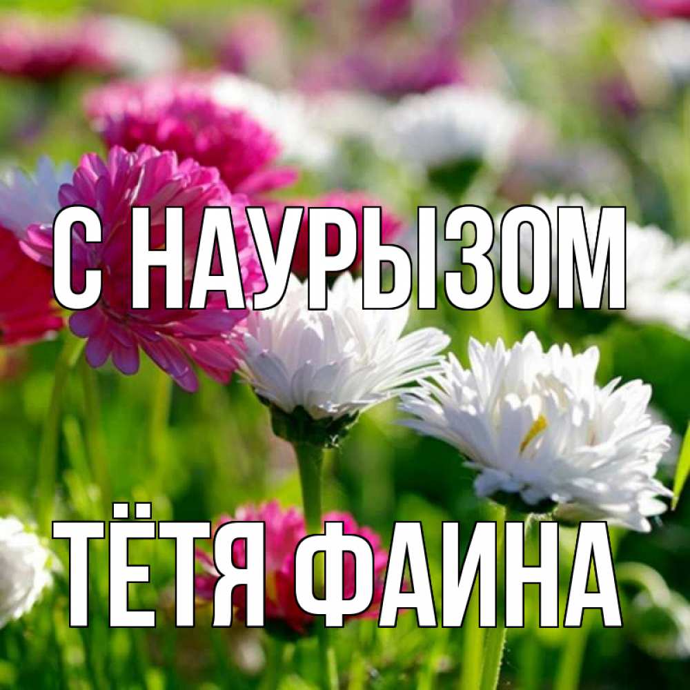 Открытка на каждый день с именем, Тётя-Фаина С наурызом праздник весны наурыз красота Прикольная открытка с пожеланием онлайн скачать бесплатно 