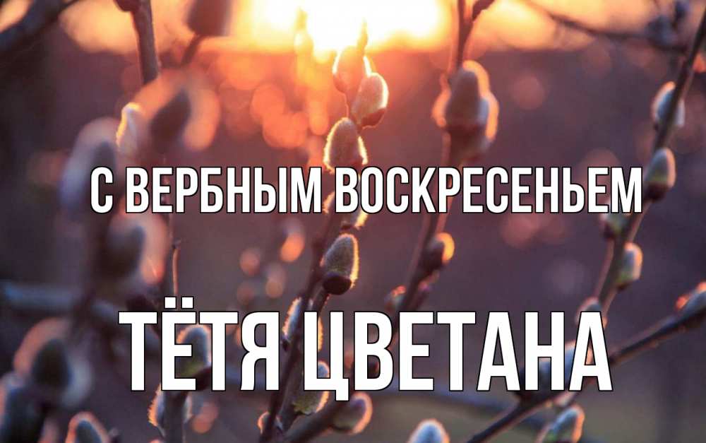 Открытка на каждый день с именем, Тётя-Цветана С вербным воскресеньем верба Прикольная открытка с пожеланием онлайн скачать бесплатно 