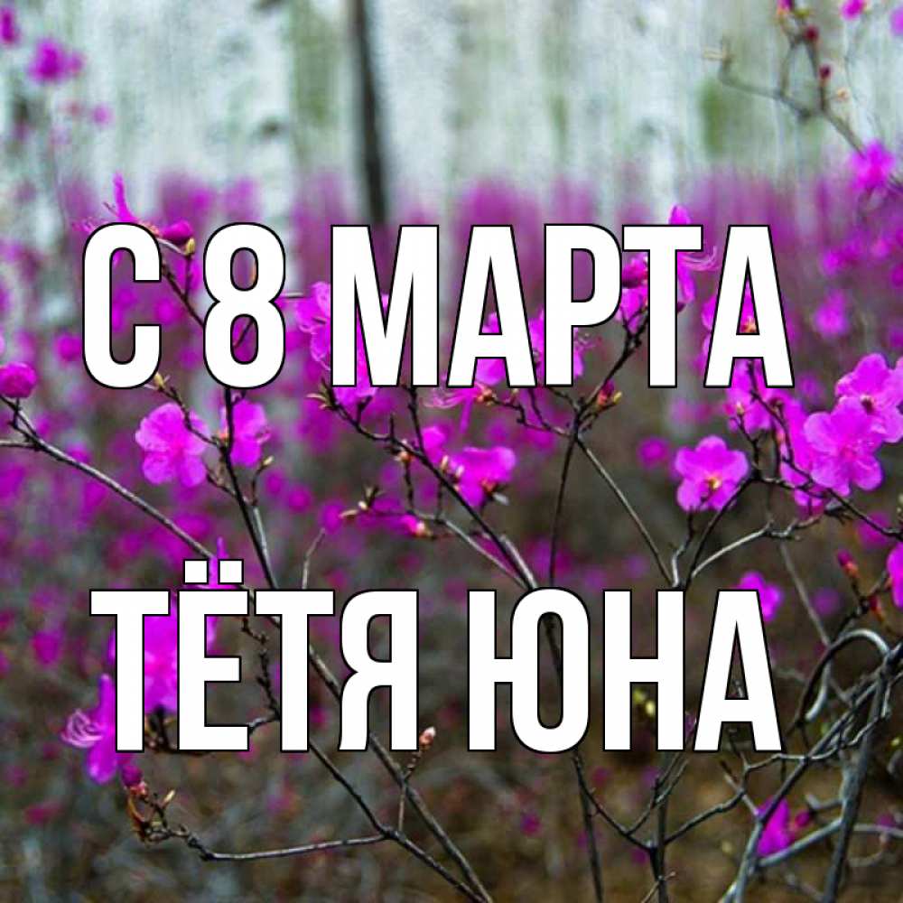 Открытка на каждый день с именем, Тётя-Юна С 8 МАРТА дикие цветы Прикольная открытка с пожеланием онлайн скачать бесплатно 