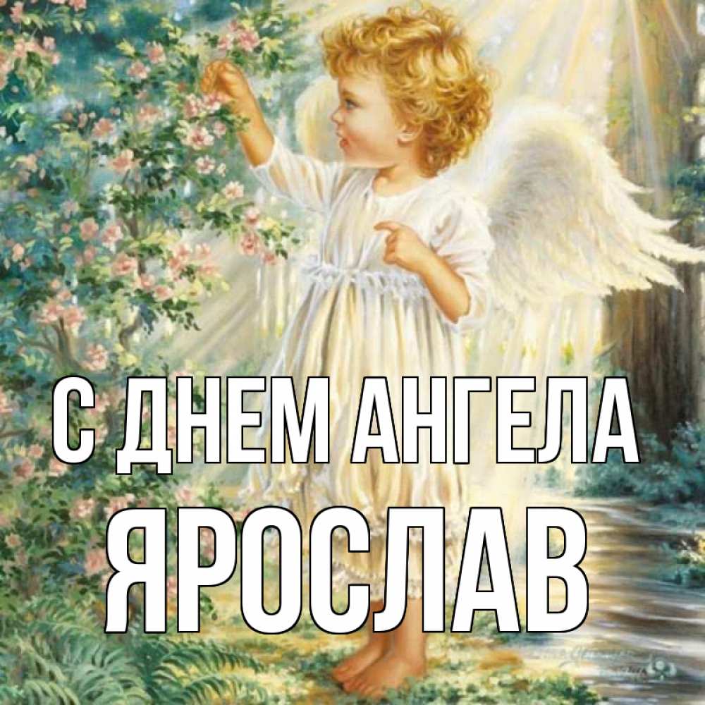Открытка на каждый день с именем, Ярослав С днем ангела собирает цветы Прикольная открытка с пожеланием онлайн скачать бесплатно 