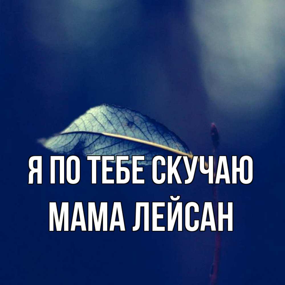 Открытка на каждый день с именем, Мама-Лейсан Я по тебе скучаю одна ветка 1 Прикольная открытка с пожеланием онлайн скачать бесплатно 
