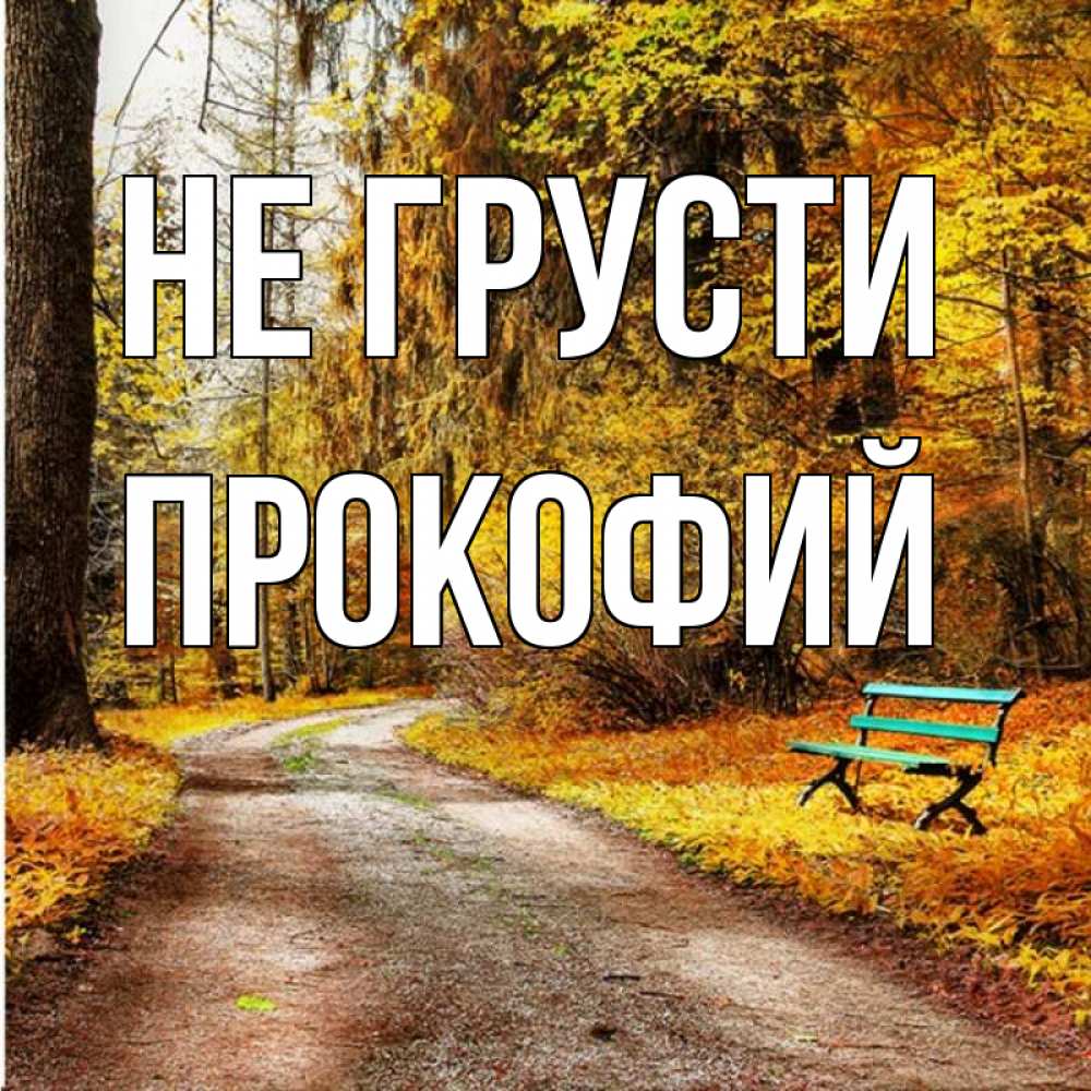 Открытка на каждый день с именем, Прокофий Не грусти зеленая лавочка Прикольная открытка с пожеланием онлайн скачать бесплатно 