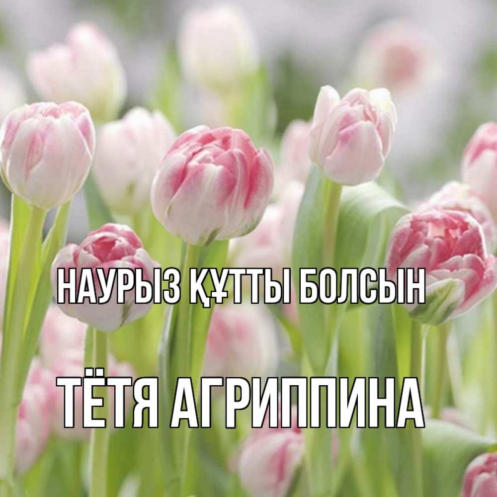 Открытка на каждый день с именем, Тётя-Агриппина Наурыз құтты болсын цветы Прикольная открытка с пожеланием онлайн скачать бесплатно 