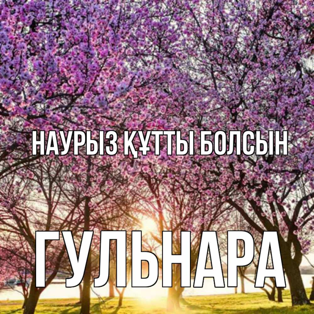 Открытка на каждый день с именем, Гульнара Наурыз құтты болсын наурыз Прикольная открытка с пожеланием онлайн скачать бесплатно 