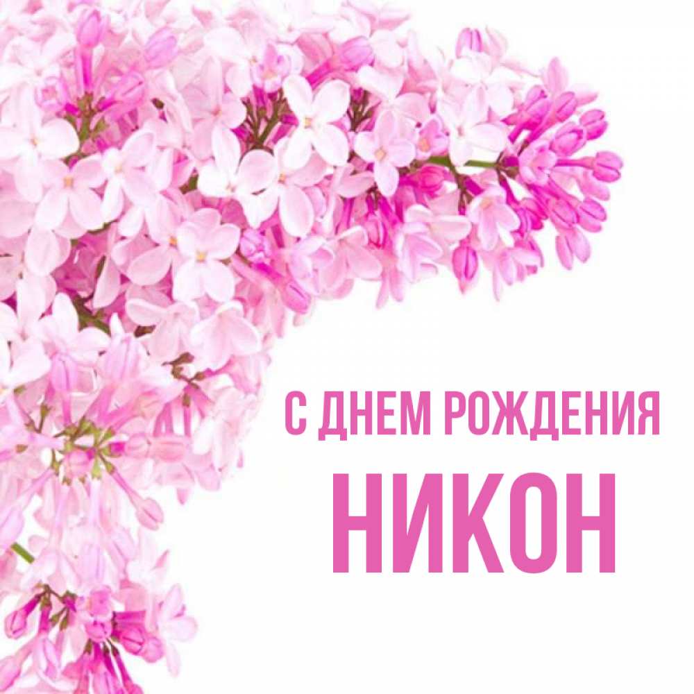 Открытка на каждый день с именем, Никон С днем рождения Сирень на белом фоне Прикольная открытка с пожеланием онлайн скачать бесплатно 