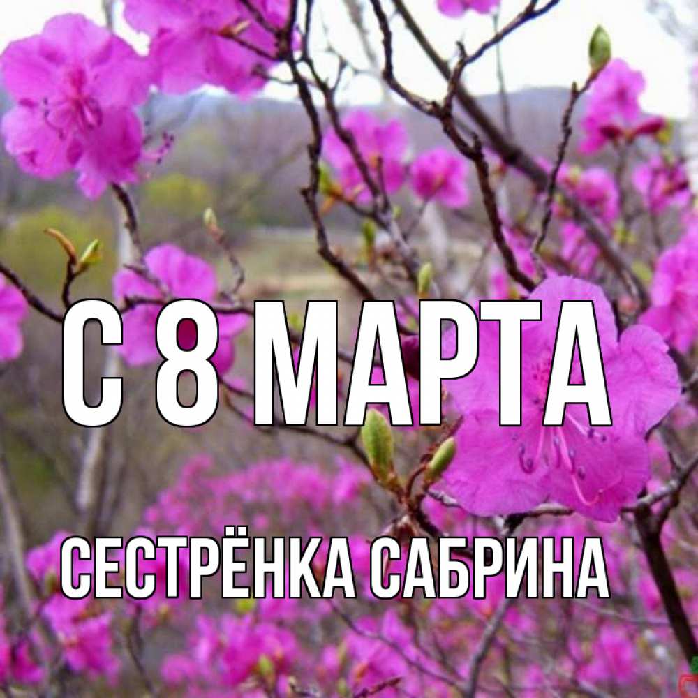 Картинка С 8 марта, Сестрёнка Сабрина