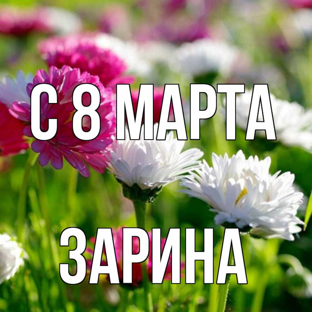 Открытка на каждый день с именем, Зарина С 8 МАРТА международный женский день 1 Прикольная открытка с пожеланием онлайн скачать бесплатно 