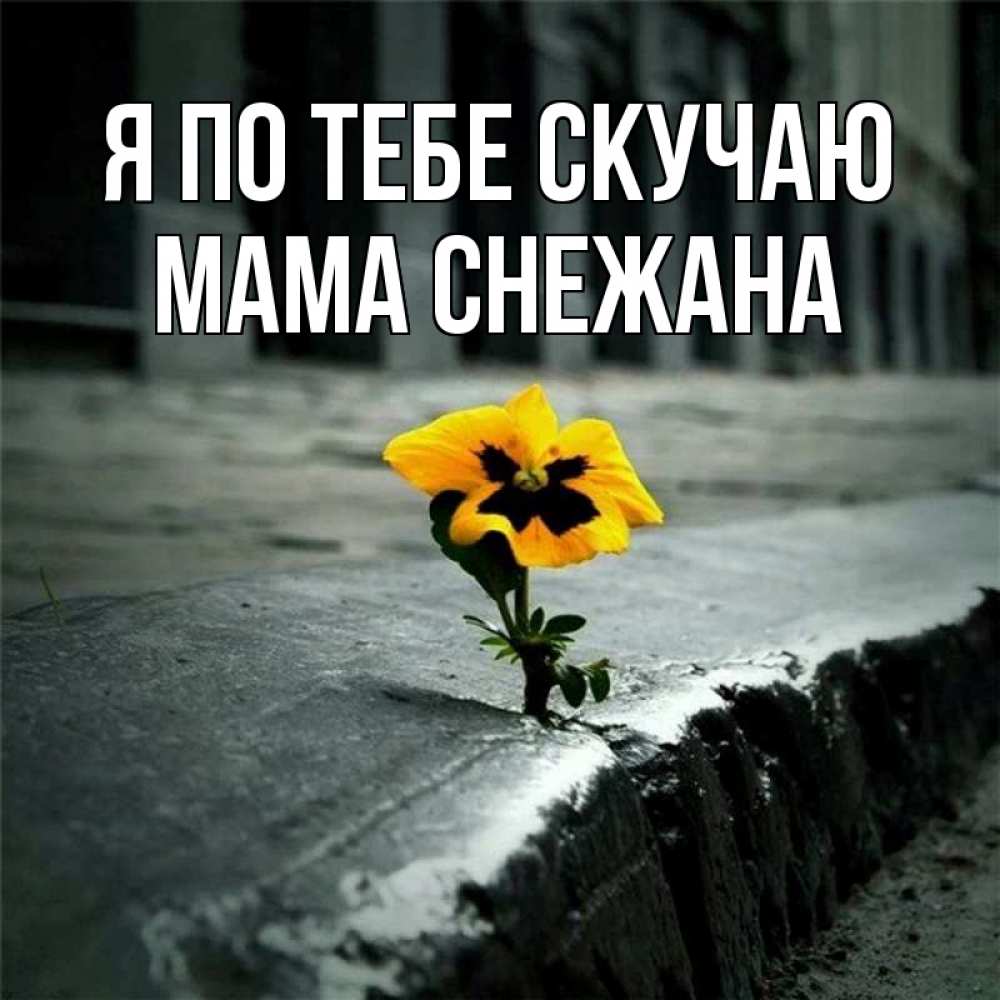 Открытка на каждый день с именем, Мама-Снежана Я по тебе скучаю надеюсь будет лучше Прикольная открытка с пожеланием онлайн скачать бесплатно 