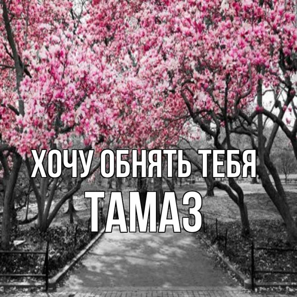 Открытка на каждый день с именем, Тамаз Хочу обнять тебя обработанное фото Прикольная открытка с пожеланием онлайн скачать бесплатно 