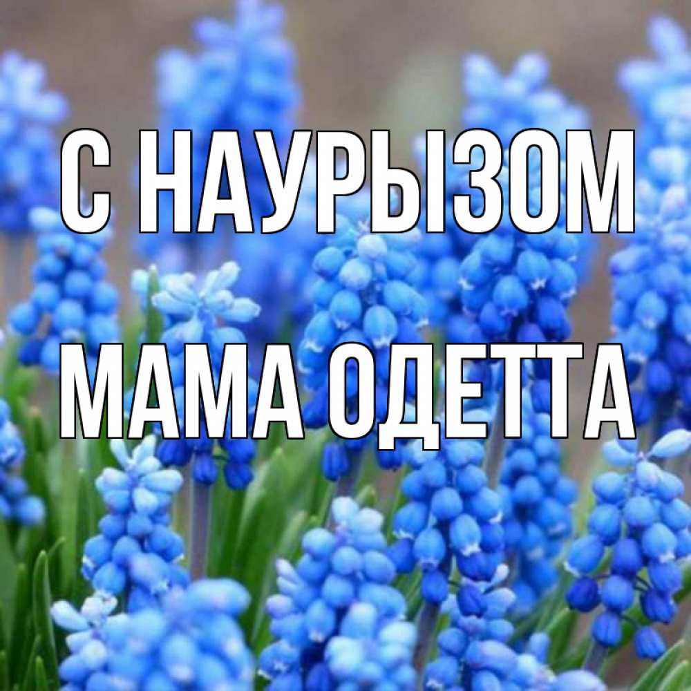 Открытка на каждый день с именем, Мама-Одетта С наурызом Поздравительная открытка для женщин с цветами на праздничную дату Прикольная открытка с пожеланием онлайн скачать бесплатно 