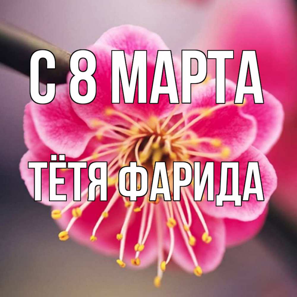 Открытка на каждый день с именем, Тётя-Фарида С 8 МАРТА цветы Прикольная открытка с пожеланием онлайн скачать бесплатно 