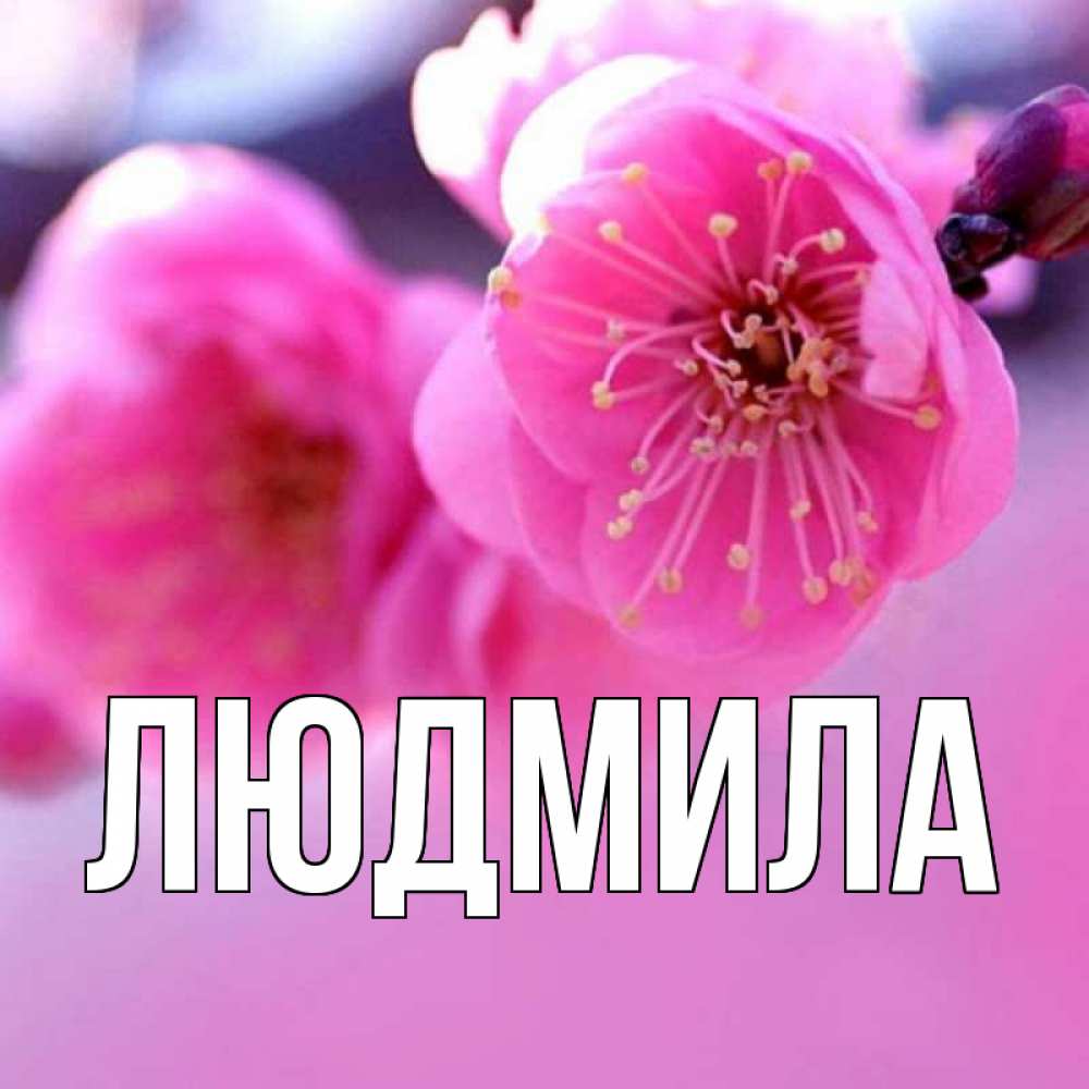 имя людмила на открытке необходимости доработаем