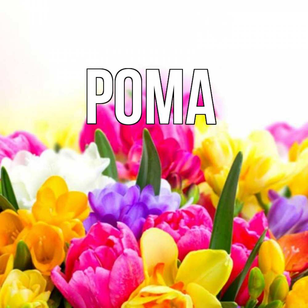 Картинка  с именем , Рома