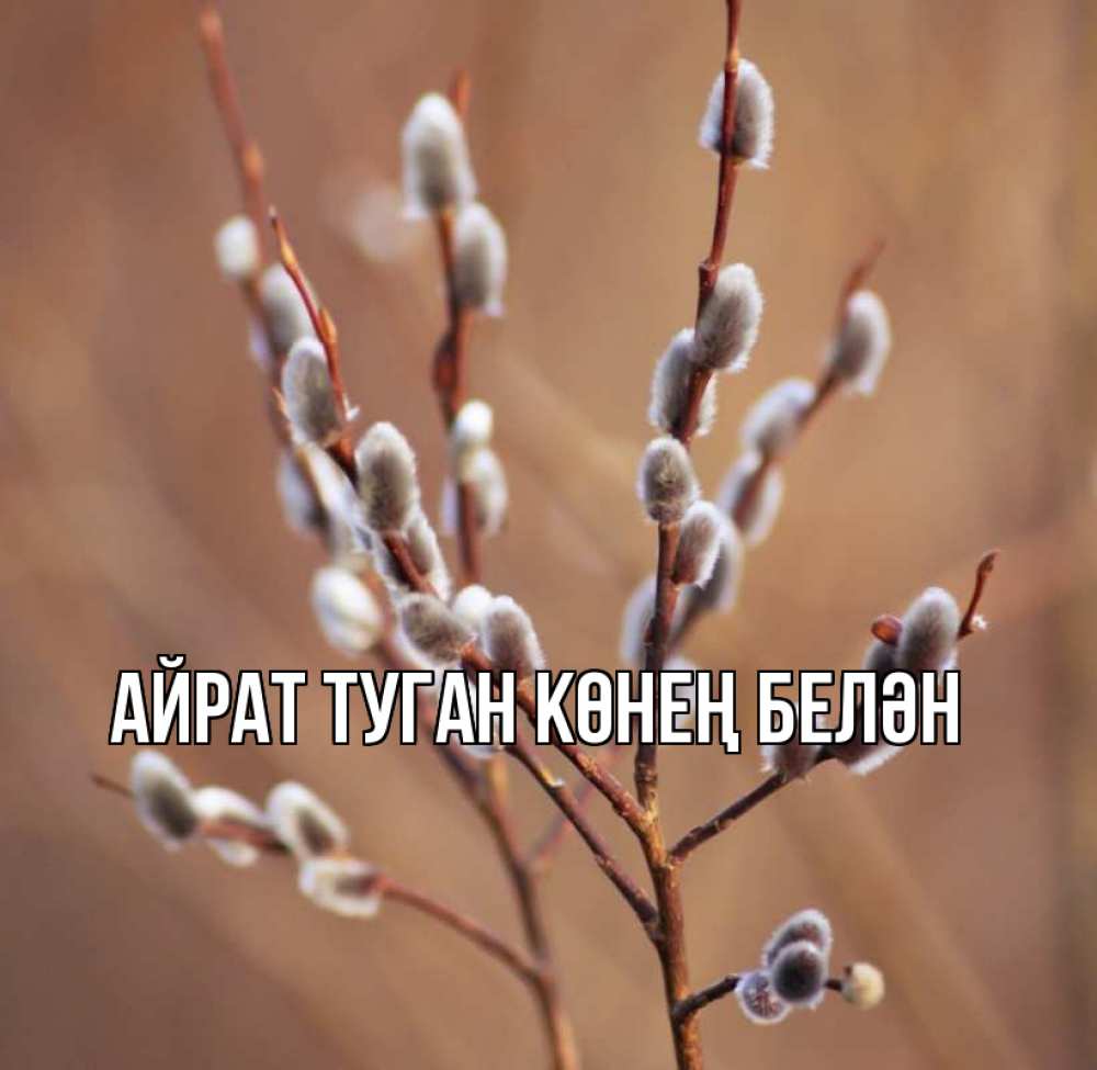 Открытка на каждый день с именем, Айрат-туган-көнең-белән Главная верба Прикольная открытка с пожеланием онлайн скачать бесплатно 
