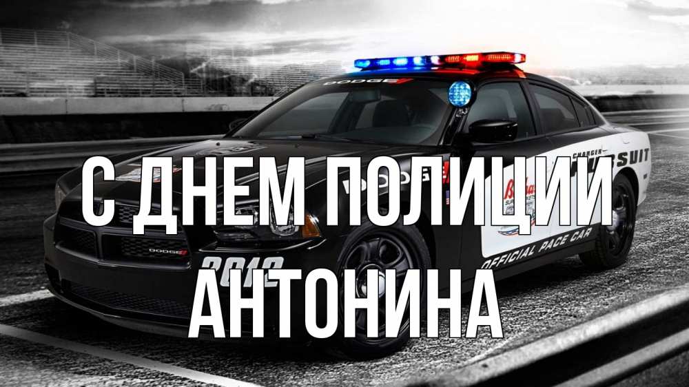 Открытка на каждый день с именем, Антонина С днем полиции полиция Прикольная открытка с пожеланием онлайн скачать бесплатно 