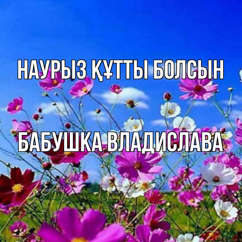 Открытка на каждый день с именем, Бабушка-Владислава Наурыз құтты болсын цветы Прикольная открытка с пожеланием онлайн скачать бесплатно 