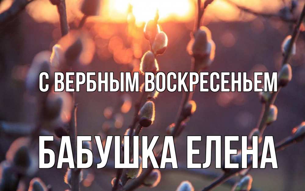 Открытка на каждый день с именем, Бабушка-Елена С вербным воскресеньем верба Прикольная открытка с пожеланием онлайн скачать бесплатно 