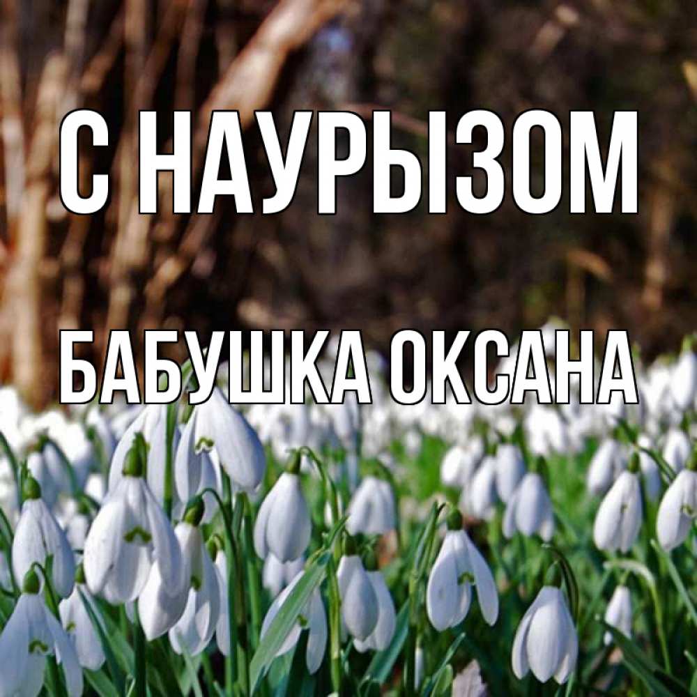 Открытка на каждый день с именем, Бабушка-Оксана С наурызом с подснежниками 1 Прикольная открытка с пожеланием онлайн скачать бесплатно 