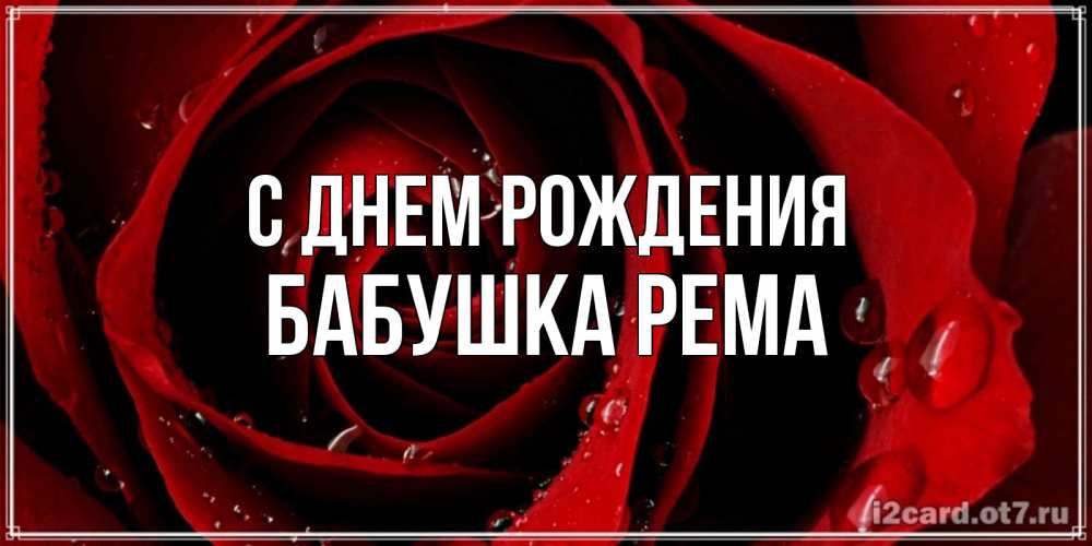 Открытка на каждый день с именем, Бабушка-Рема С днем рождения крупная бордовая роза Прикольная открытка с пожеланием онлайн скачать бесплатно 