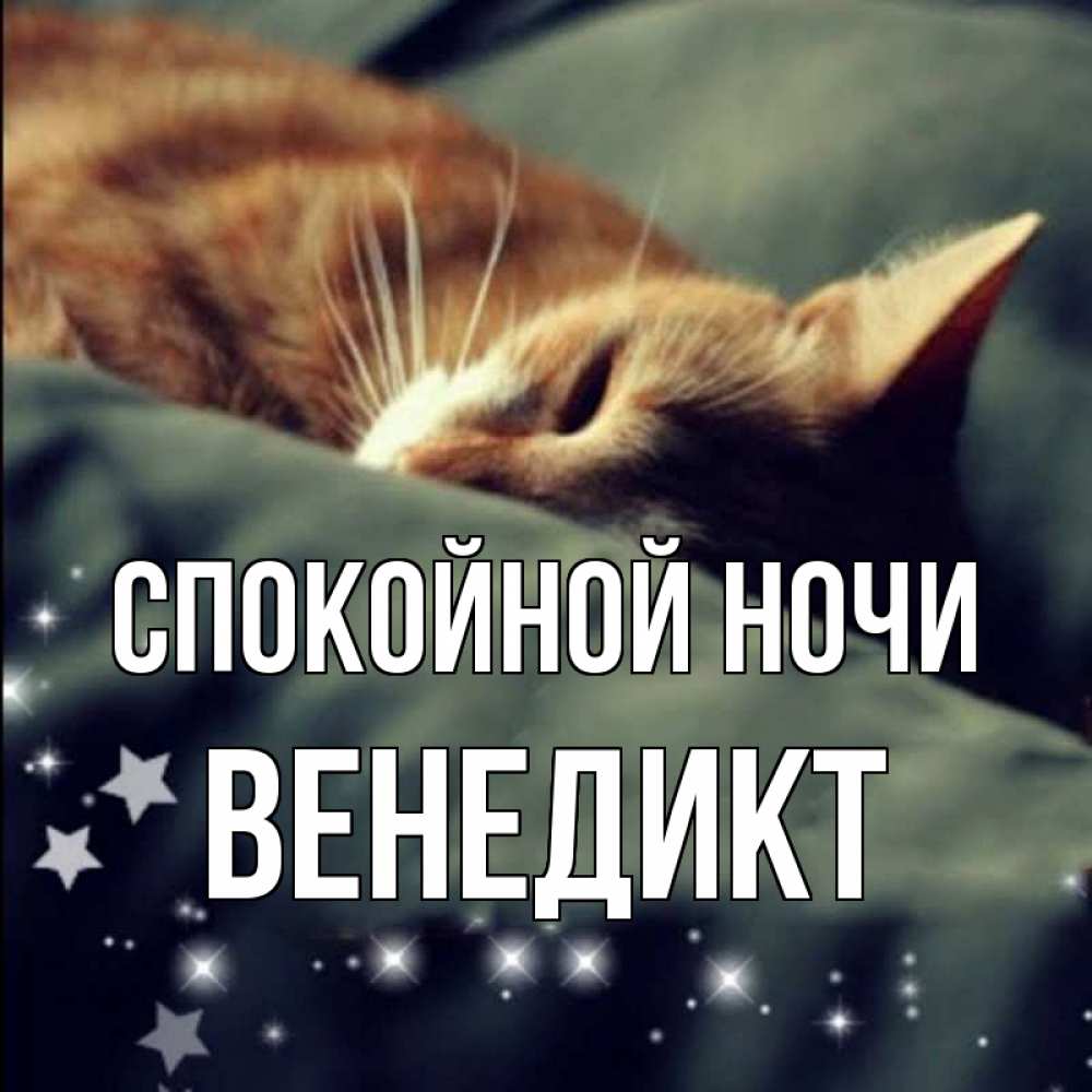 Открытка на каждый день с именем, Венедикт Спокойной ночи кроватка Прикольная открытка с пожеланием онлайн скачать бесплатно 