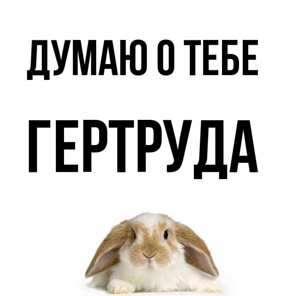 Открытка на каждый день с именем, Гертруда Думаю о тебе подписать своими руками онлайн Прикольная открытка с пожеланием онлайн скачать бесплатно 
