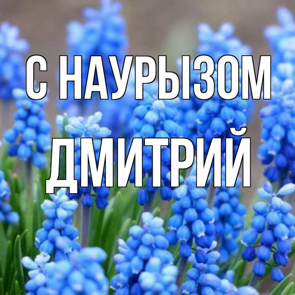 Открытка на каждый день с именем, Дмитрий С наурызом Поздравительная открытка для женщин с цветами на праздничную дату Прикольная открытка с пожеланием онлайн скачать бесплатно 