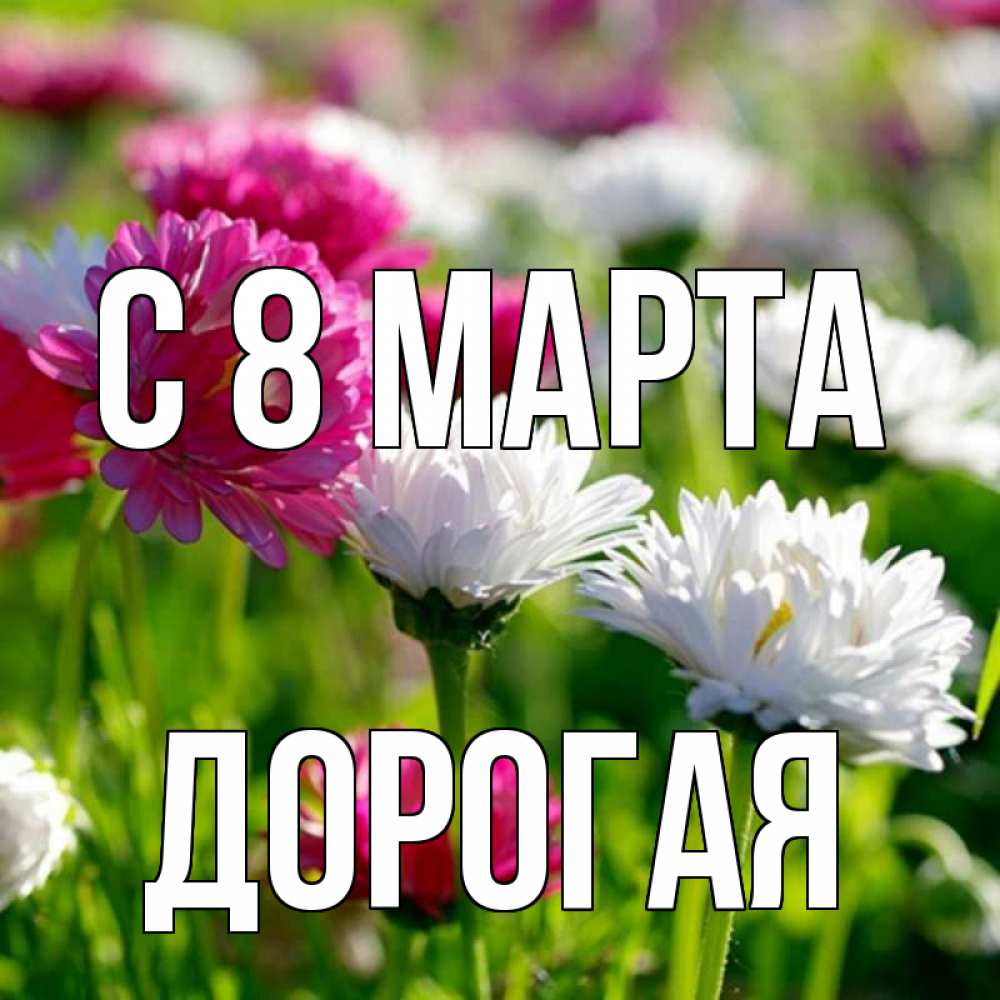 Открытка на каждый день с именем, Дорогая С 8 марта международный женский день 1 Прикольная открытка с пожеланием онлайн скачать бесплатно 