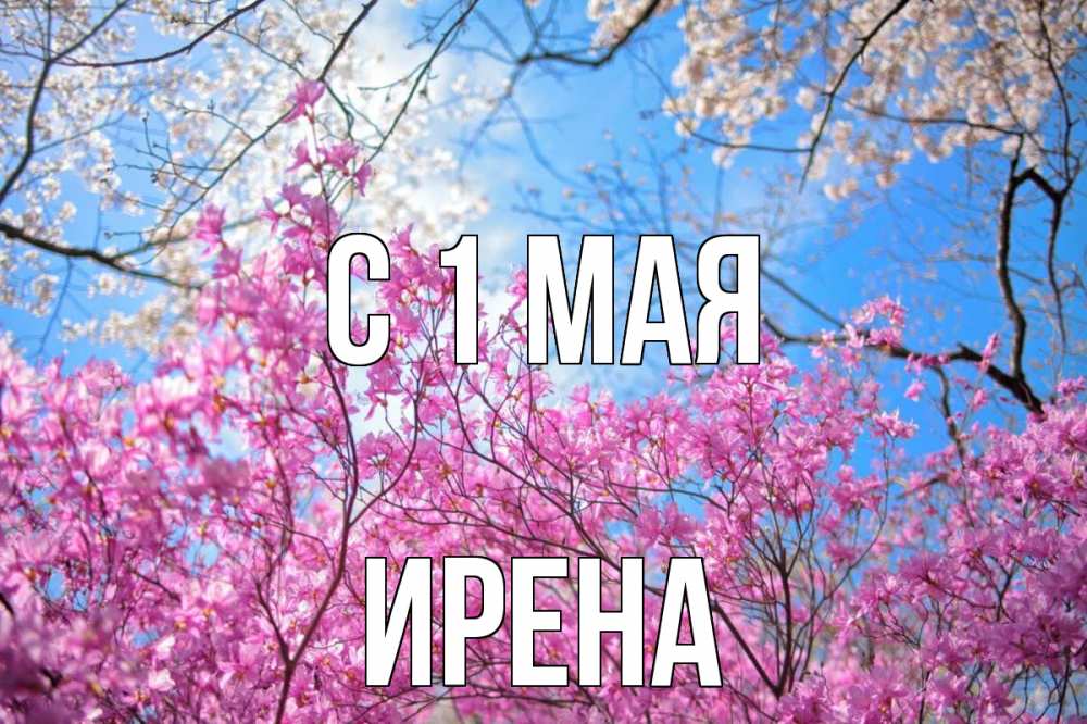 Открытка на каждый день с именем, Ирена С 1 мая С 1 мая Прикольная открытка с пожеланием онлайн скачать бесплатно 
