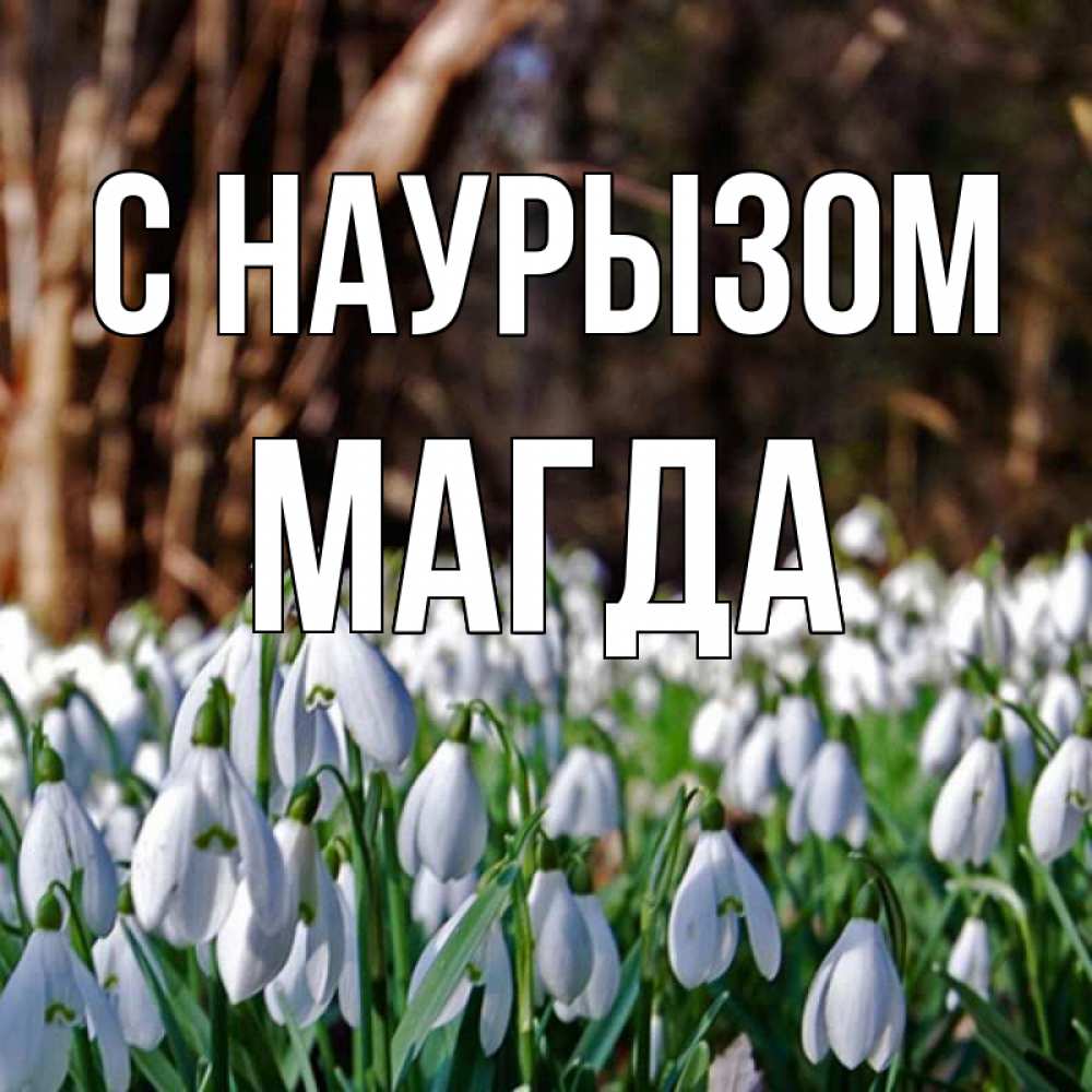 Открытка на каждый день с именем, Магда С наурызом с подснежниками 1 Прикольная открытка с пожеланием онлайн скачать бесплатно 
