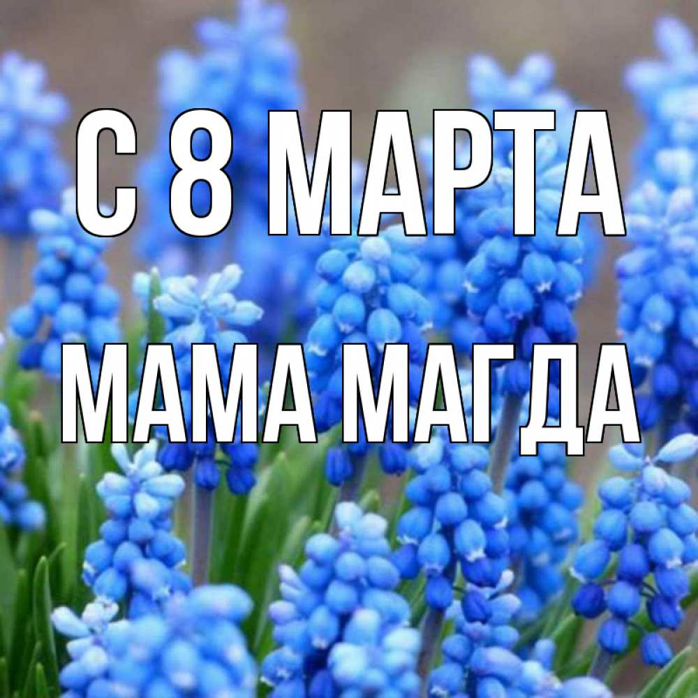 Открытка на каждый день с именем, Мама-Магда С 8 МАРТА Поздравительная открытка для женщин с цветами на праздничную дату Прикольная открытка с пожеланием онлайн скачать бесплатно 