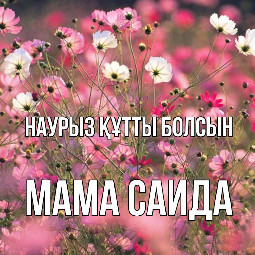 Открытка на каждый день с именем, Мама-Саида Наурыз құтты болсын красиво 1 Прикольная открытка с пожеланием онлайн скачать бесплатно 