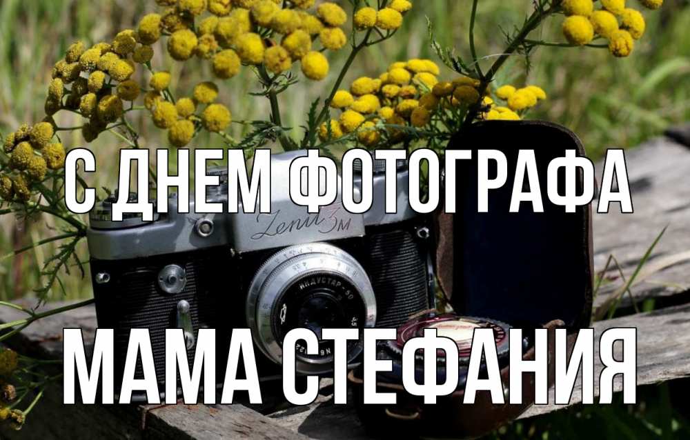Открытка на каждый день с именем, Мама-Стефания С днем фотографа с днем фотографа Прикольная открытка с пожеланием онлайн скачать бесплатно 