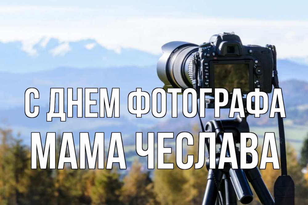 Открытка на каждый день с именем, Мама-Чеслава С днем фотографа с днем фотографа Прикольная открытка с пожеланием онлайн скачать бесплатно 