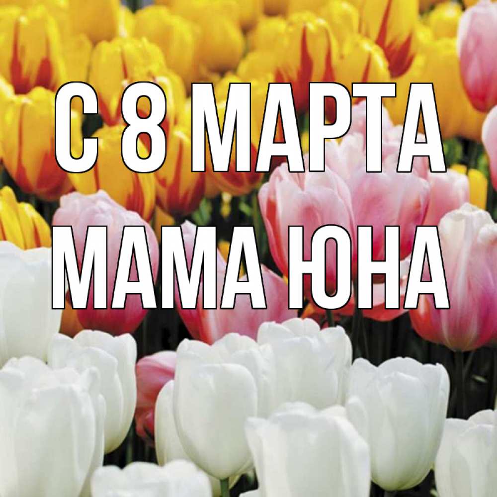 Открытка на каждый день с именем, Мама-Юна С 8 МАРТА разноцветные цветы Прикольная открытка с пожеланием онлайн скачать бесплатно 