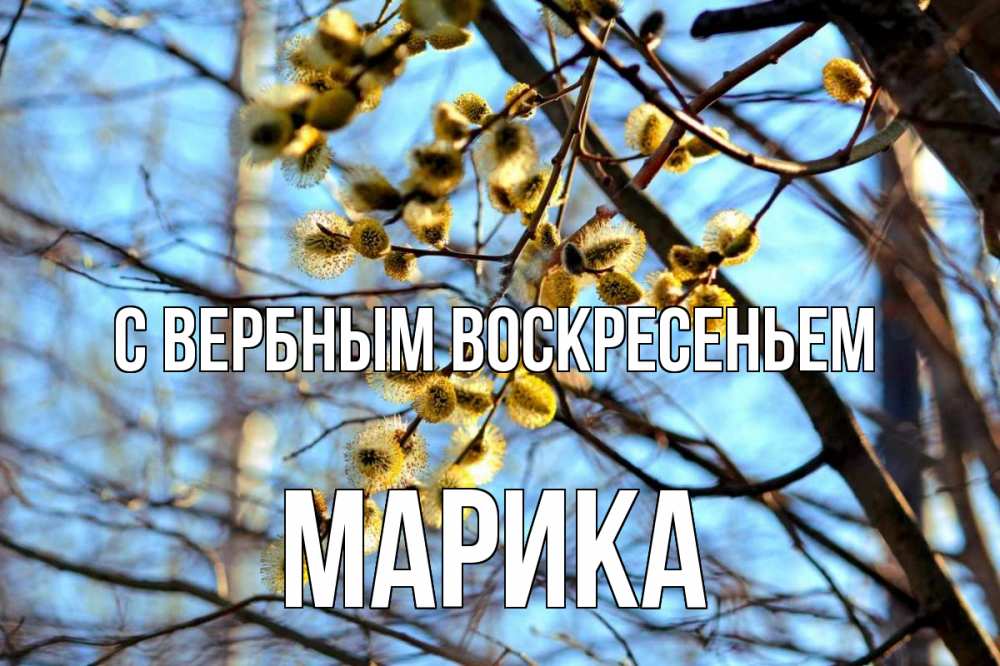 Открытка на каждый день с именем, Марика С вербным воскресеньем верба Прикольная открытка с пожеланием онлайн скачать бесплатно 