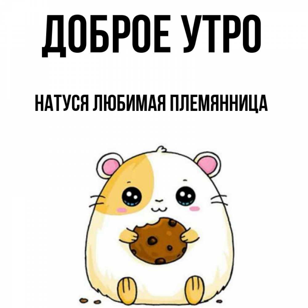 Открытка на каждый день с именем, Натуся-любимая-племянница Доброе утро есть печеньку. Утречко Прикольная открытка с пожеланием онлайн скачать бесплатно 
