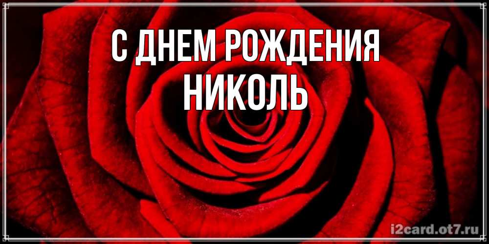 Открытка на каждый день с именем, Николь С днем рождения алая роза Прикольная открытка с пожеланием онлайн скачать бесплатно 