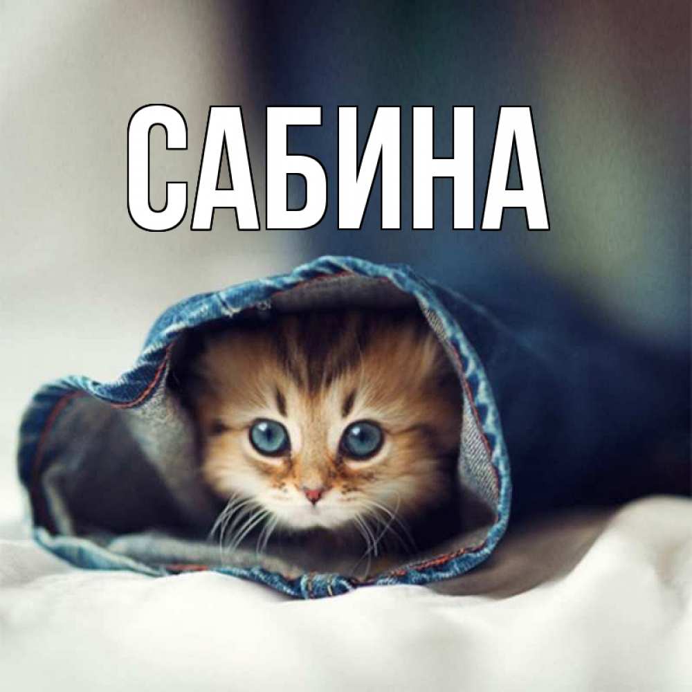 Открытка на каждый день с именем, Сабина Главная мне без тебя плохо Прикольная открытка с пожеланием онлайн скачать бесплатно 