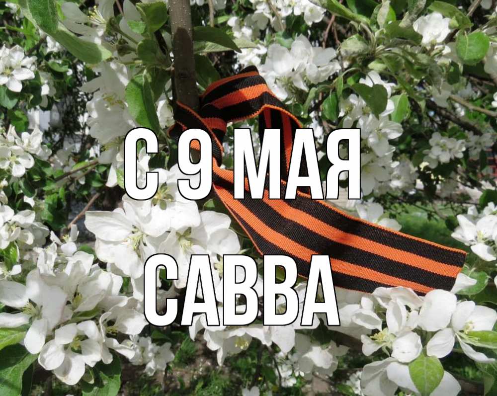 Открытка на каждый день с именем, Савва С 9 мая 9 мая Прикольная открытка с пожеланием онлайн скачать бесплатно 