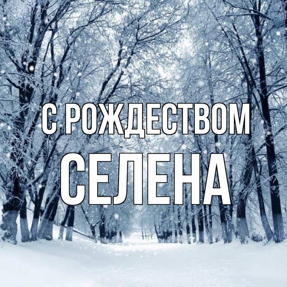 Открытка на каждый день с именем, Селена С рождеством снег, лес, парк Прикольная открытка с пожеланием онлайн скачать бесплатно 