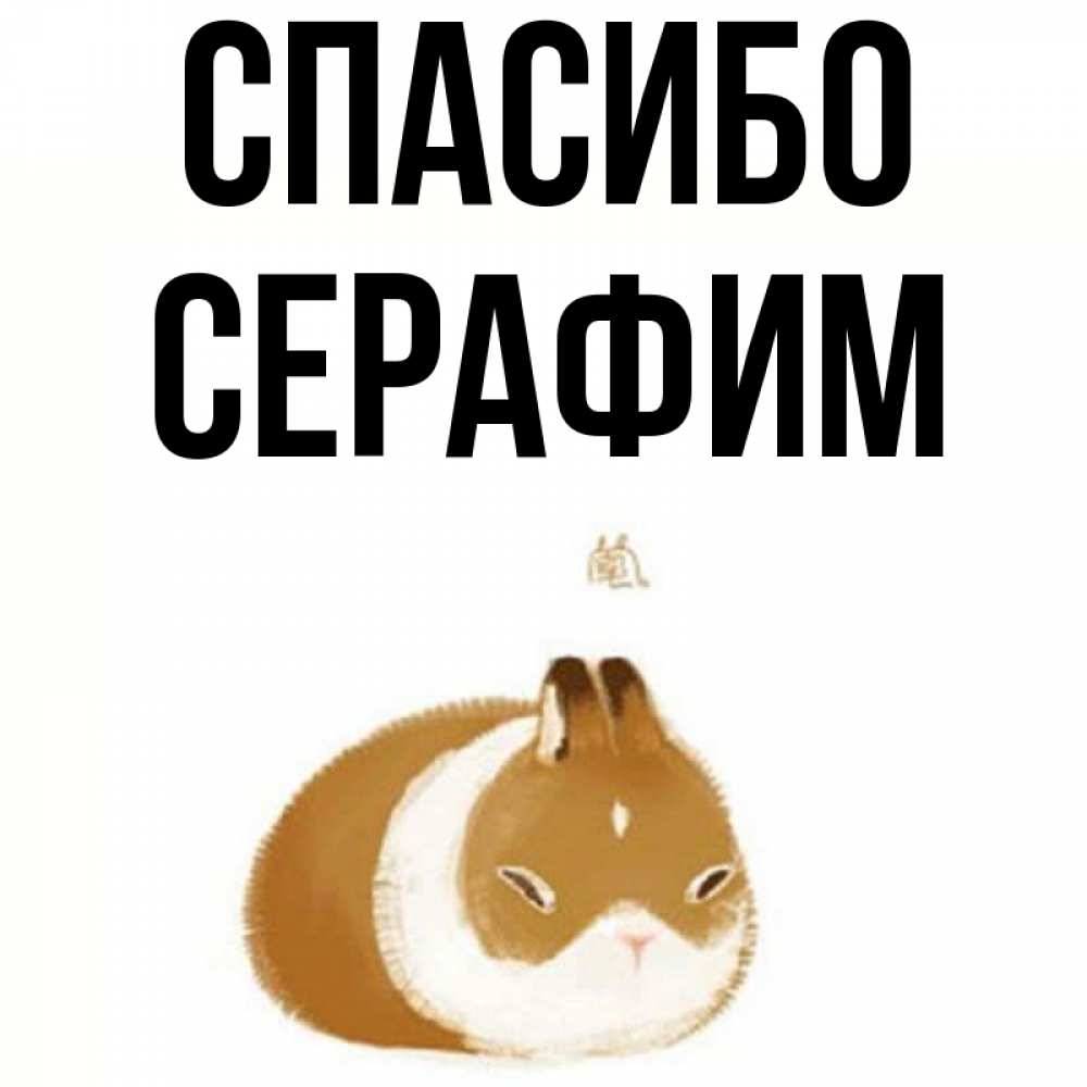 Открытка на каждый день с именем, Серафим Спасибо коричнево белый домашний питомец Прикольная открытка с пожеланием онлайн скачать бесплатно 