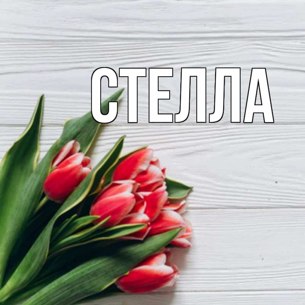 Открытка на каждый день с именем, Стелла Главная весна 2 Прикольная открытка с пожеланием онлайн скачать бесплатно 
