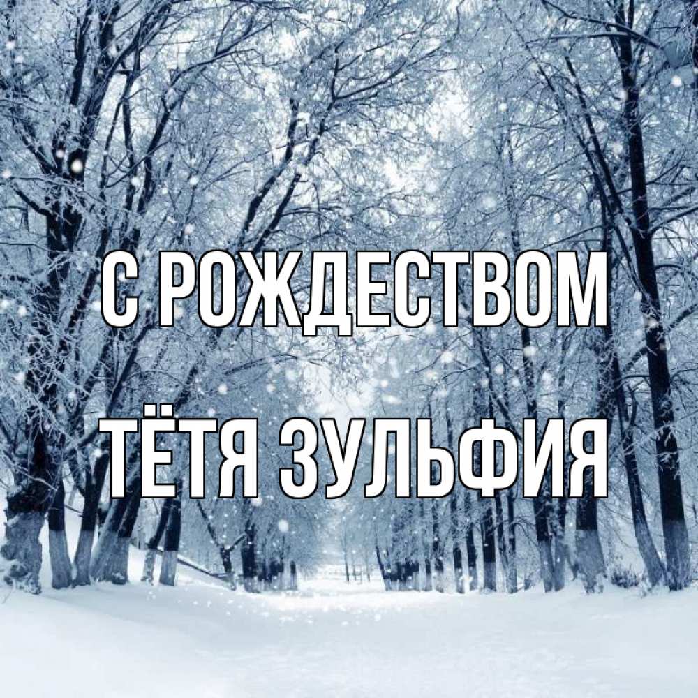 Открытка на каждый день с именем, Тётя-Зульфия С рождеством снег, лес, парк Прикольная открытка с пожеланием онлайн скачать бесплатно 