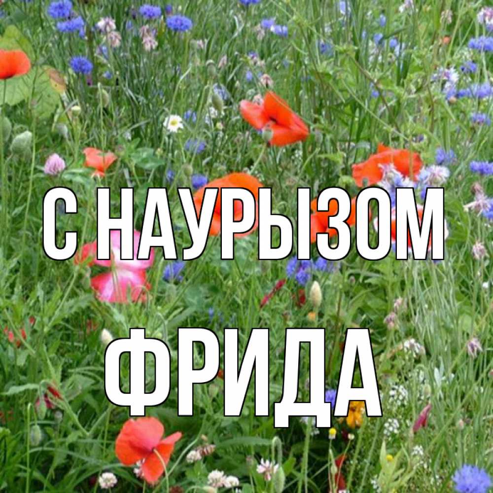 Открытка на каждый день с именем, Фрида С наурызом праздник весны наурыз супер открытка Прикольная открытка с пожеланием онлайн скачать бесплатно 