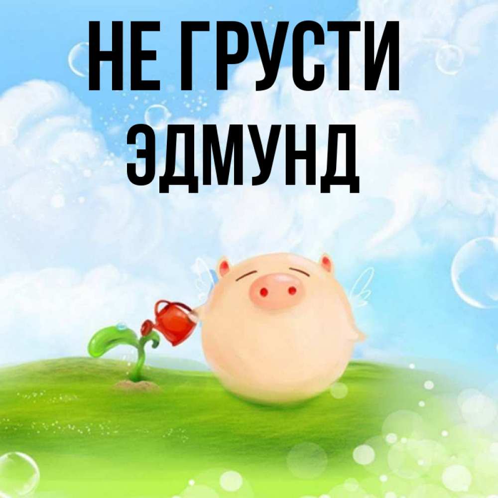 Открытка на каждый день с именем, Эдмунд Не грусти поливает цветок порося Прикольная открытка с пожеланием онлайн скачать бесплатно 