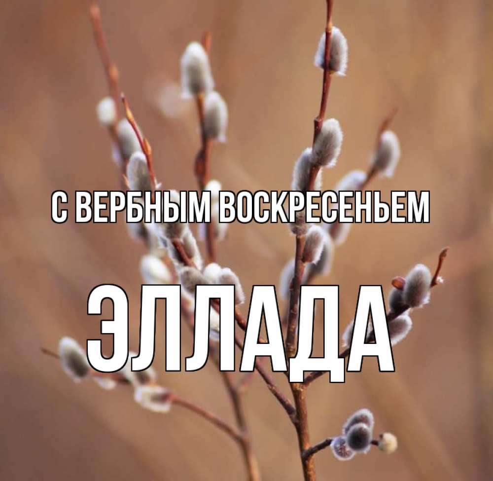 Открытка на каждый день с именем, Эллада С вербным воскресеньем верба Прикольная открытка с пожеланием онлайн скачать бесплатно 